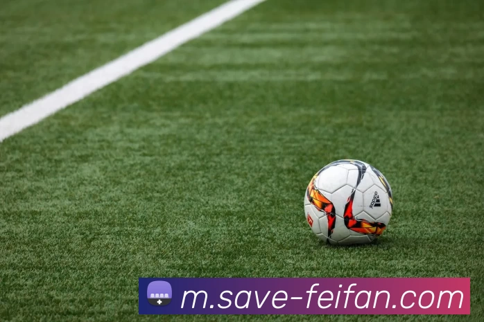 非凡娱乐平台生态图