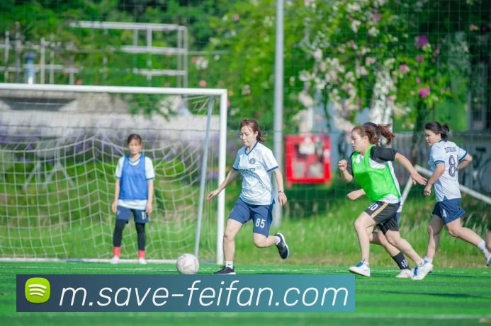 数据防护可视化